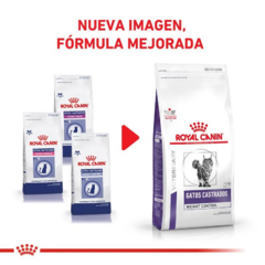 Royal Canin Gato Castrado Weight Control X 12 Kg - Pipa Store