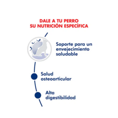Royal Canin Perro Maxi Ageing 8+ X 15 Kg en internet