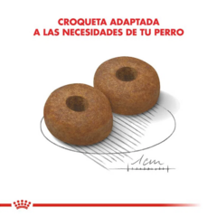Royal Canin Perro Maxi Ageing 8+ X 15 Kg - Pipa Store