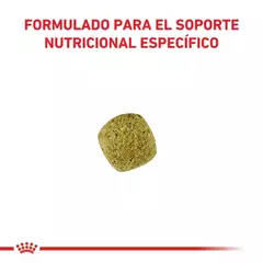 Royal Canin Gato Diabético X 1.5 Kg en internet