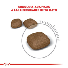 Royal Canin Gato Urinary Care X 7.5 Kg - Pipa Store