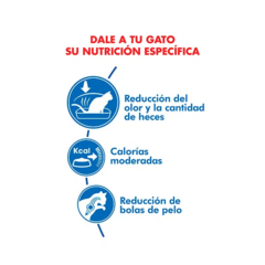 Royal Canin Gato Indoor 27 X 7.5 Kg - comprar online