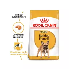 Royal Canin Bulldog Frances Adulto x 3 kg - comprar online
