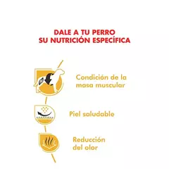 Royal Canin Bulldog Frances Adulto x 3 kg en internet