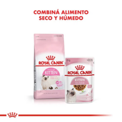 Royal Canin Gatito Kitten 36 X 7.5 Kg - tienda online