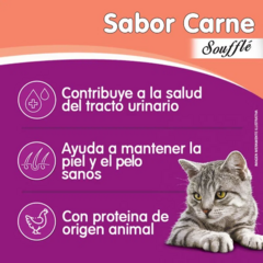 Whiskas Pouch Sabor Carne Souffle X 85 Grs en internet