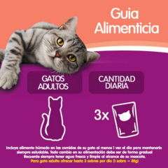 Whiskas Pouch Sabor Carne Souffle X 85 Grs