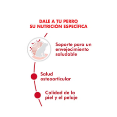 Royal Canin Perro Medium Ageing 10 + X 15 Kg - comprar online