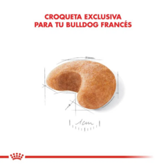 Royal Canin Bulldog Frances 7.5 Kg - Pipa Store