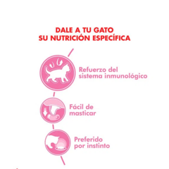 Royal Canin Pouch Kitten X 85 Grs en internet