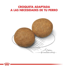 Royal Canin Perro Adulto Mediano X 15 Kg - Pipa Store