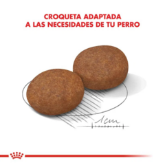 Royal Canin Perro Adulto 7+ Mediano X 15 Kg - Pipa Store