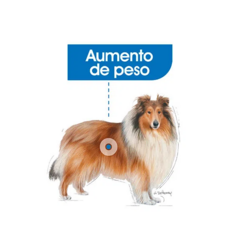 Royal Canin Perro Maxi Weight Care X 10 Kg - comprar online