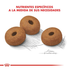 Royal Canin Perro Maxi Weight Care X 10 Kg - Pipa Store