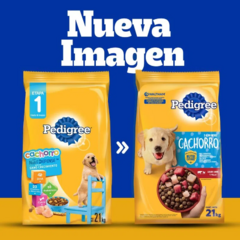 Pedigree Cachorro Nutri Defense X 21 + 3 Kg - comprar online