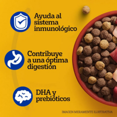Pedigree Cachorro Nutri Defense X 21 + 3 Kg en internet