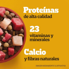 Pedigree Cachorro Nutri Defense X 21 + 3 Kg - Pipa Store