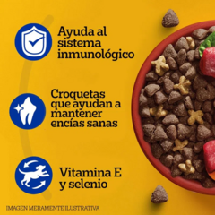 Pedigree Adulto Razas Pequeñas X 15 Kg en internet
