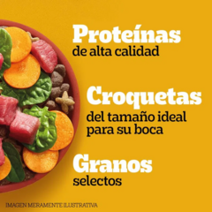 Pedigree Adulto Razas Pequeñas X 15 Kg - Pipa Store