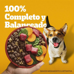 Pedigree Adulto Razas Pequeñas X 15 Kg - tienda online