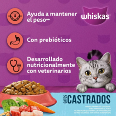 Whiskas Castrados Mix Carnes X 10 Kg - Pipa Store