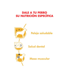Royal Canin Caniche Poodle Adulto X 7.5 Kg en internet
