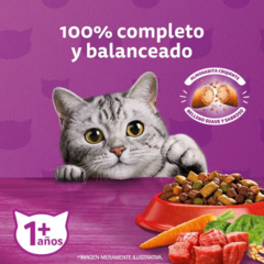 Whiskas Gato Adulto Pollo X 10 Kg - Pipa Store
