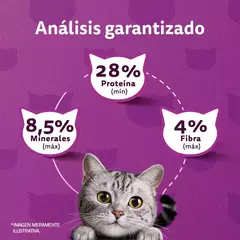 Whiskas Castrados Mix Carnes X 10 Kg