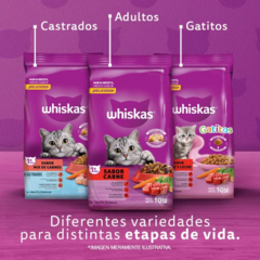 Whiskas Gato Adulto Carne X 10 Kg