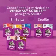 Whiskas Castrados Mix Carnes X 10 Kg en internet