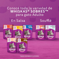 Whiskas Gato Adulto Carne X 10 Kg - comprar online