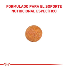 Royal Canin Gato Adulto Urinary High Dilution S/O X 7.5 Kg en internet