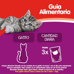 Whiskas Pouch Gatitos Sabor Carne En Salsa X 85 Grs - Pipa Store