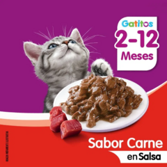 Whiskas Pouch Gatitos Sabor Carne En Salsa X 85 Grs en internet