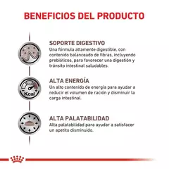Royal Canin Gastrointestinal Gato Adulto X 2 Kg - comprar online