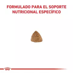 Royal Canin Gastrointestinal Gato Adulto X 2 Kg en internet