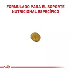 Royal Canin Gato Renal X 2 Kg en internet