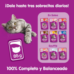 Whiskas Pouch Sardina En Salsa 85 Grs - comprar online