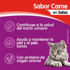 Whiskas Pouch Carne Tierna En Salsa X 85 Grs - Pipa Store