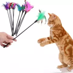 Varita para gatos con pluma y cascabel 60 cm