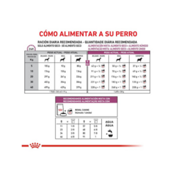 Royal Canin Renal perro x 1.5 Kg - Pipa Store