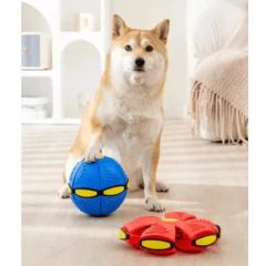Pelota Magica Frisbee - comprar online