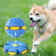 Pelota Magica Frisbee