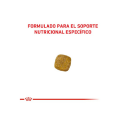 Royal Canin Renal perro x 1.5 Kg en internet