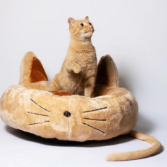 Camita Gatito