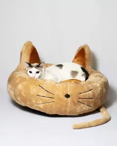 Camita Gatito - Pipa Store