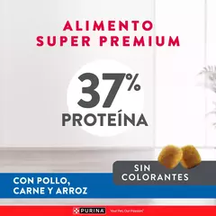 Excellent Kitten Gatito x 1 Kg - Pipa Store