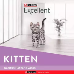 Excellent Kitten Gatito x 1 Kg en internet