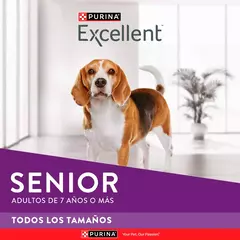 Excellent perro senior x 3 Kg en internet