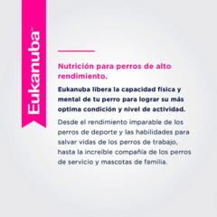 Eukanuba Perro Senior Grande X 15 Kg - comprar online